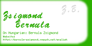 zsigmond bernula business card